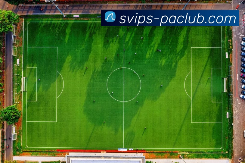 多媒体互动体验